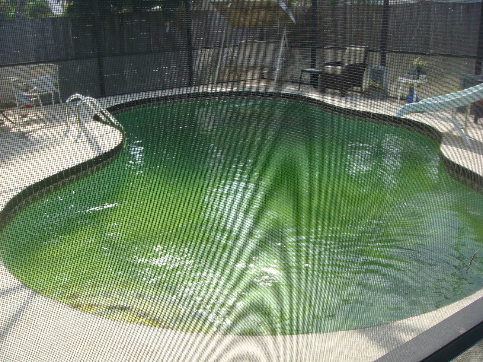 Pool equipment and area inspection photo