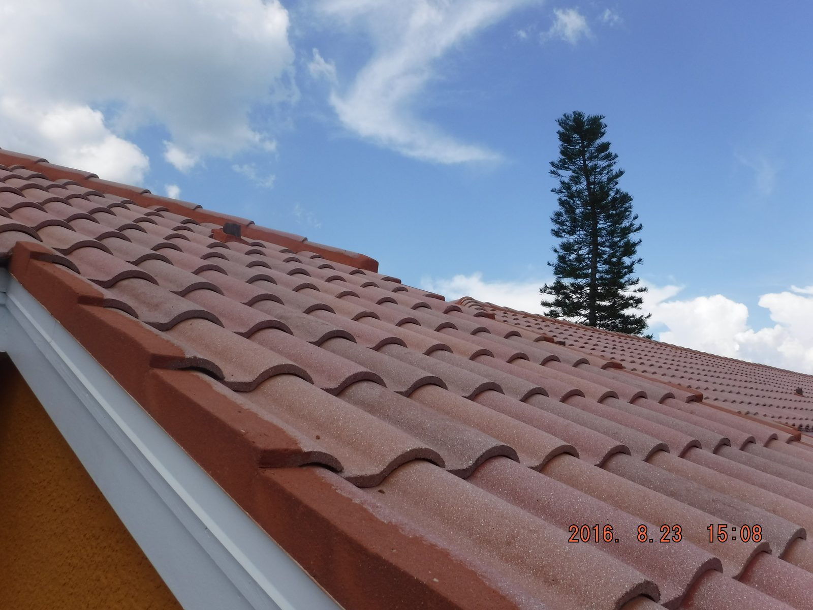 Roof shingle inspection photo