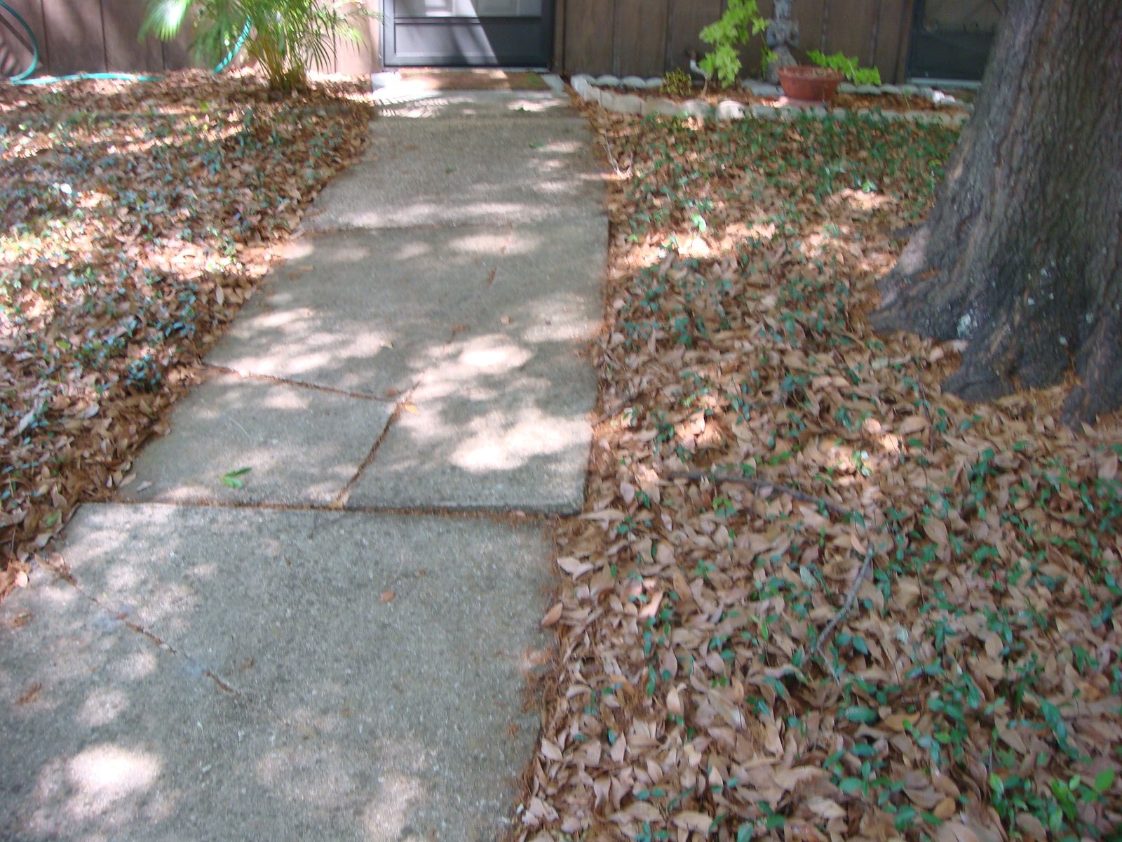 Sidewalk inspection photo