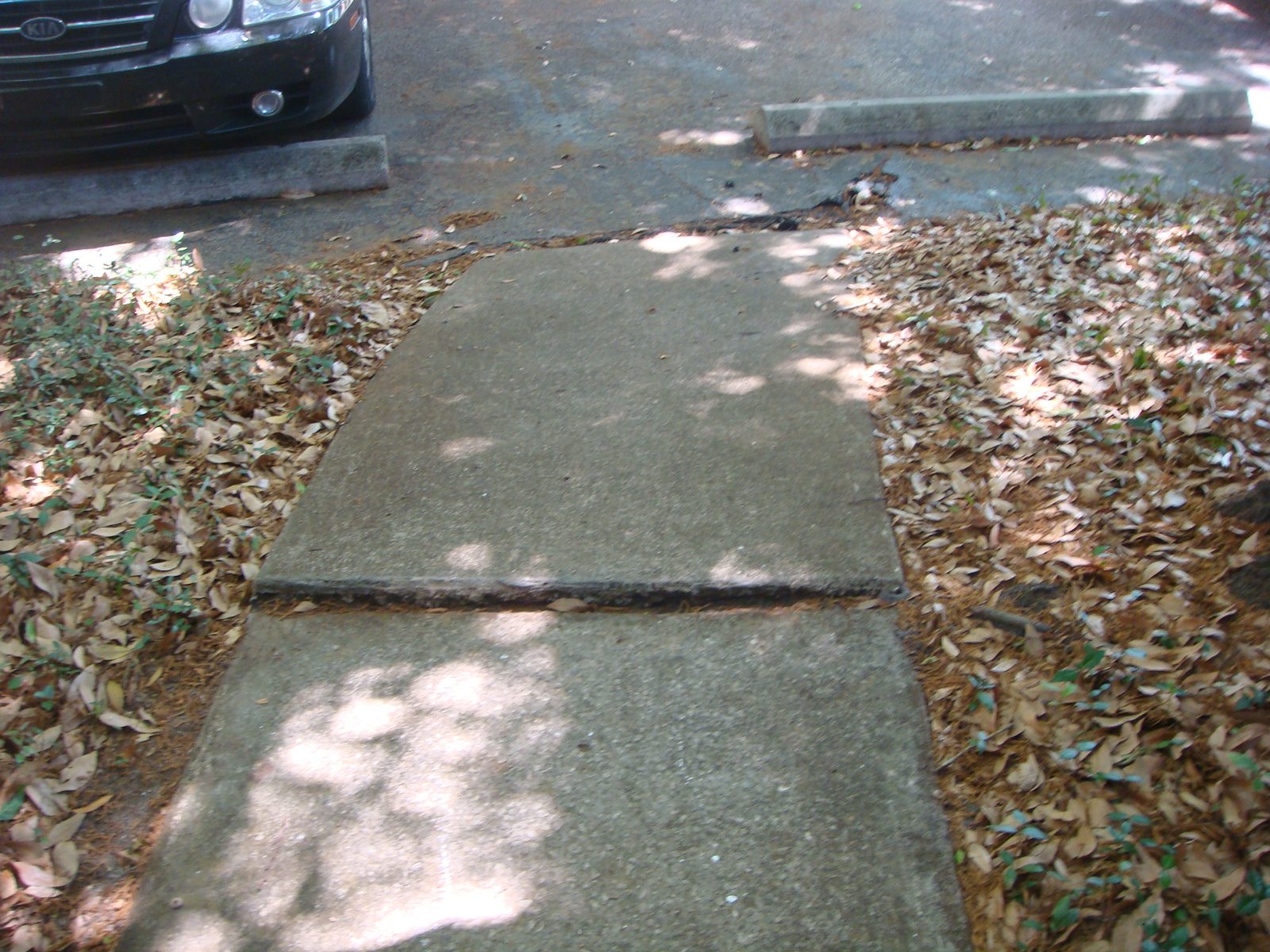 Driveway surface inspection photo